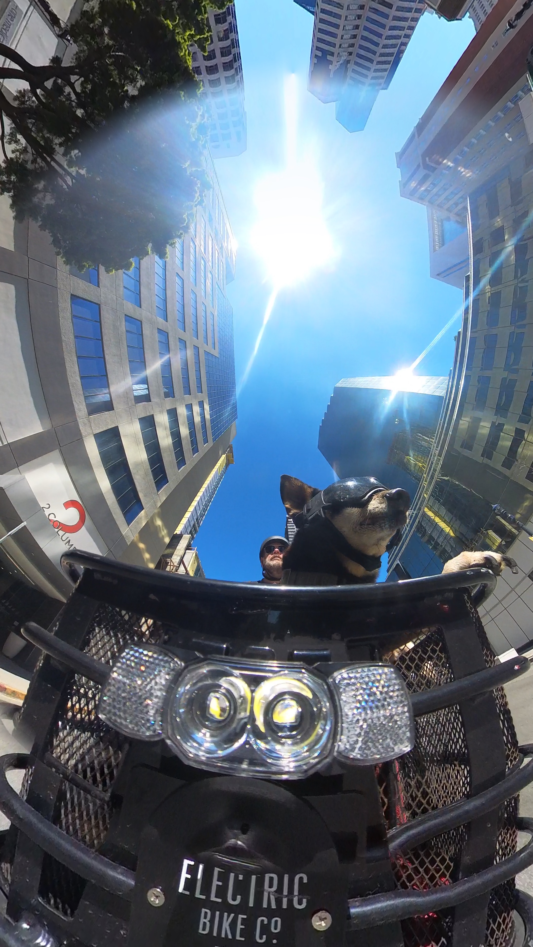 Looking up at the city