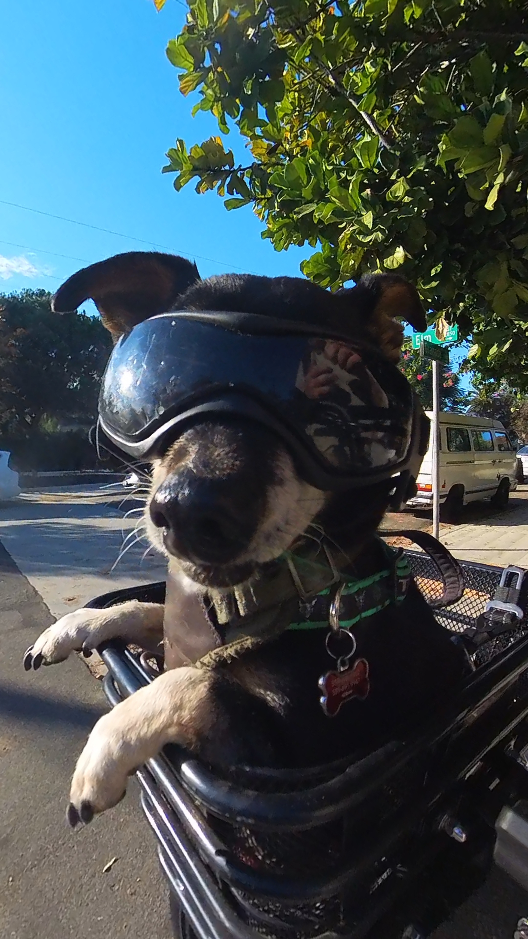 Cruising the neighborhood